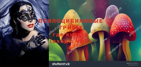 MESCALINE Зеленокумск