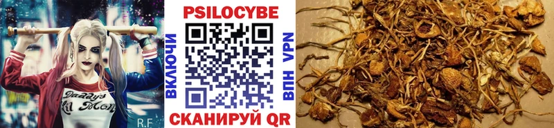 Галлюциногенные грибы MAGIC MUSHROOMS  Купить  Хилок 